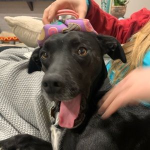 Meet your Posher, Austin